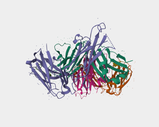 Anti-Podoplanin (MAP tag) mAbs [PMab-1](MABL-3427)