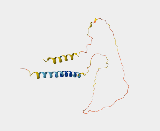 Anti-RAP tag mAbs [PMab-2](MABL-3428)