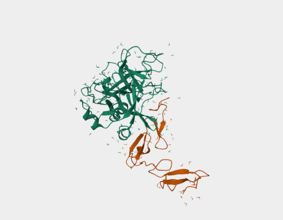 Anti-Protein C mAbs [HPC-4](MABL-3430)