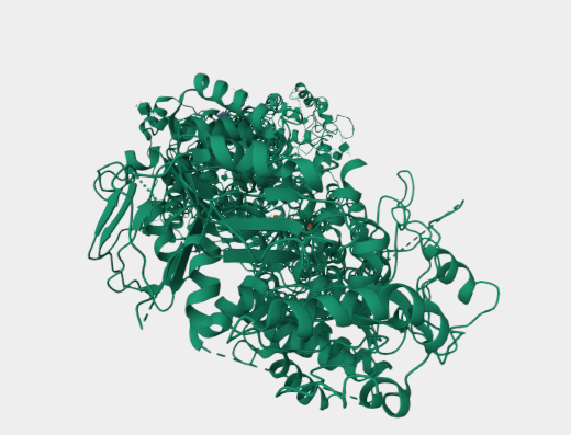 Anti-Rim ABC protein mAbs [Rim 3F4](MABL-3431)