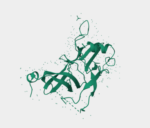 Anti-M13 bacteriophage mAbs [E