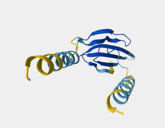 Anti-Ly6G/Ly6C [RB6-8C5](MABL-