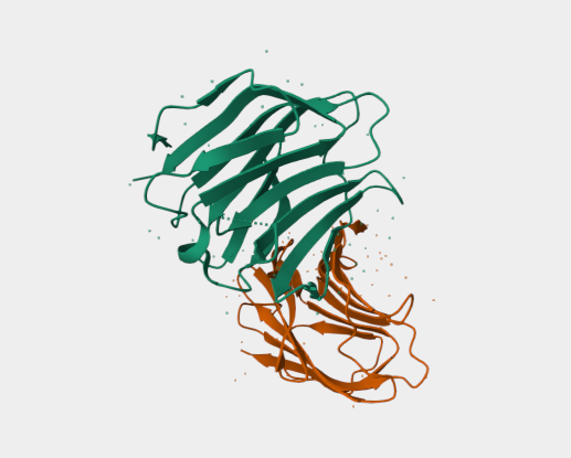 Anti-Galectin 9 [RG9-35](MABL-