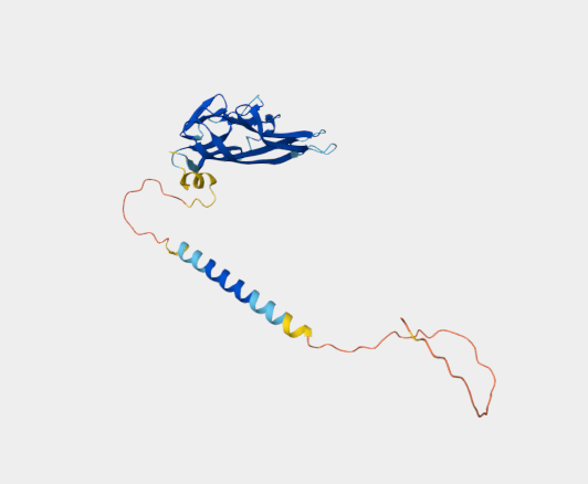 Anti-CD153 [RM153](MABL-3474)