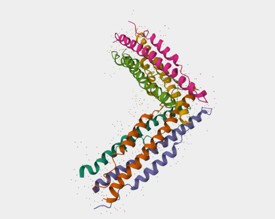 Anti-Covid-19 & SARS-CoV N