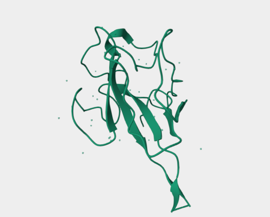 Anti-Covid-19 & SARS-CoV N