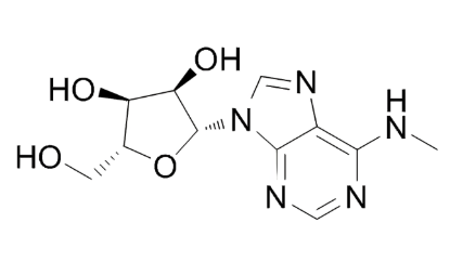 Anti-N6-methyladenosine mabs [17-3-4-1](MABL-3609)